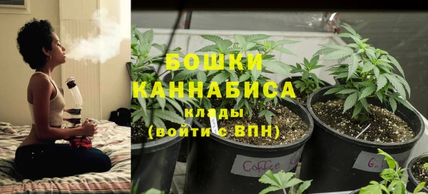 трава Михайловск