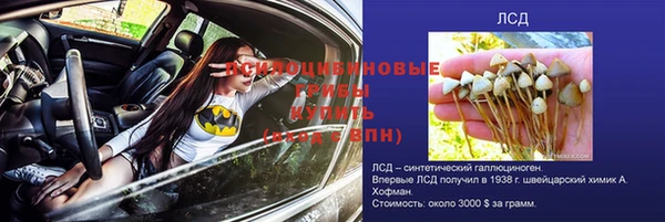 трава Михайловск