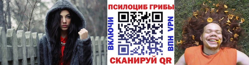 Галлюциногенные грибы прущие грибы  хочу наркоту  Новохопёрск 